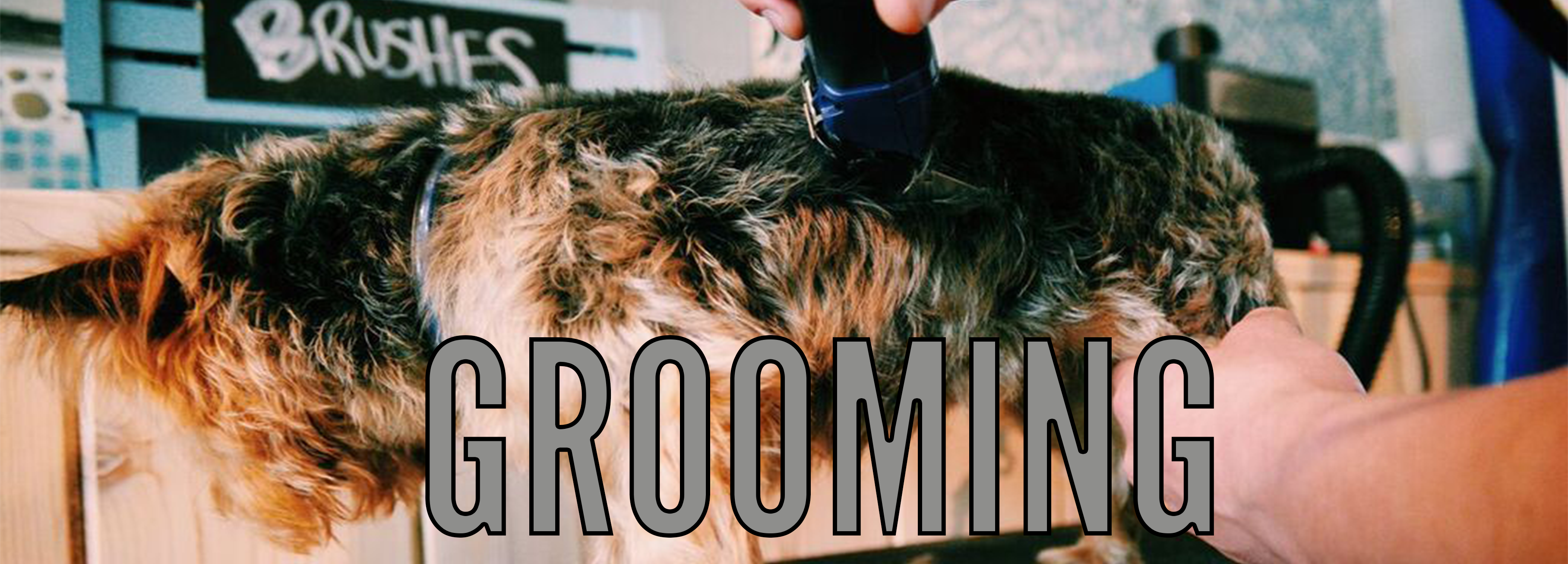 grooming
